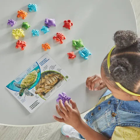 Turtle Math Puzzle Tactile Turtles Math Activity Set | NERD'S BOX TOYS