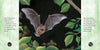 Un Pequeño Murciélago - Bilingüe