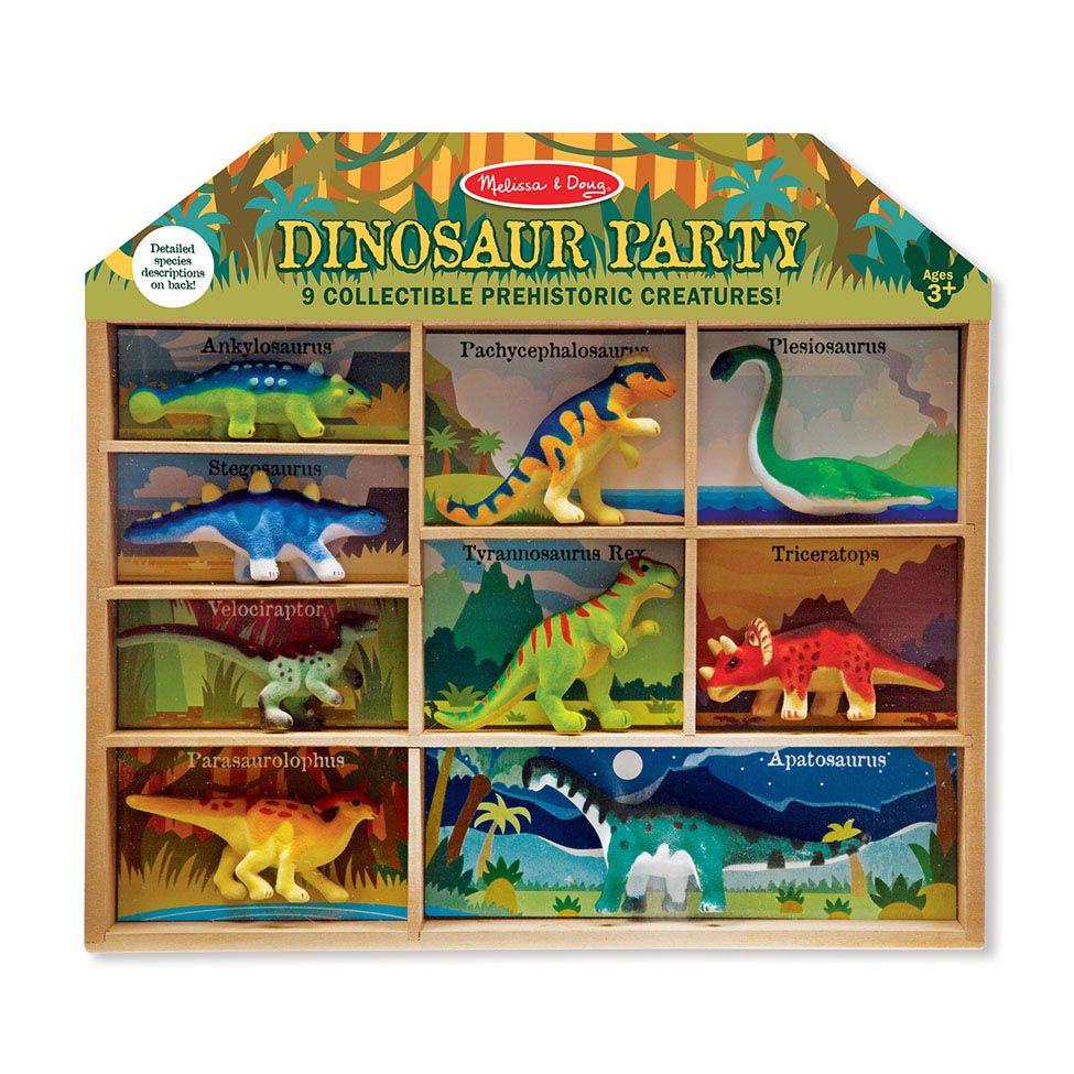 Dinosaur Party 