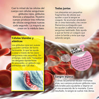 Enciclopedia Infantil del Cuerpo Humano